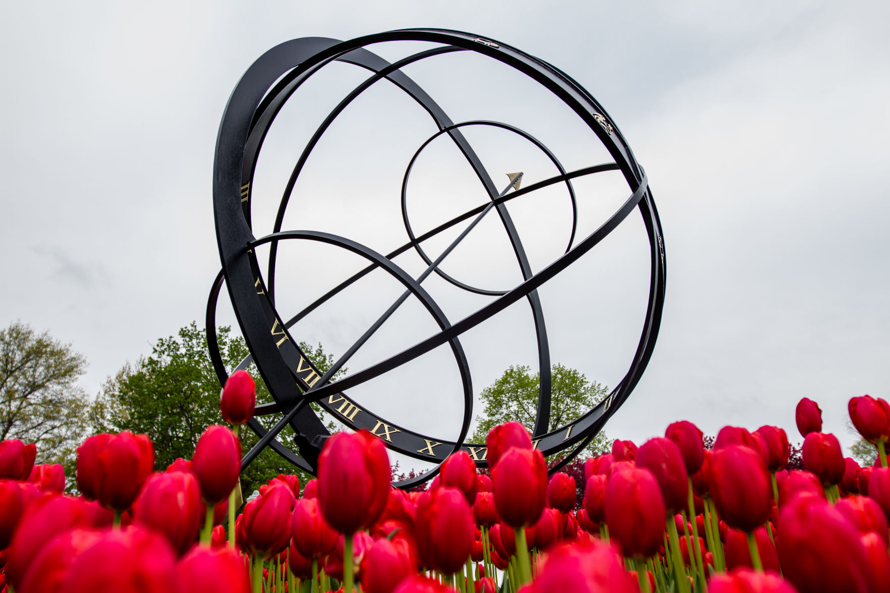 84th ANNUAL TULIP TIME